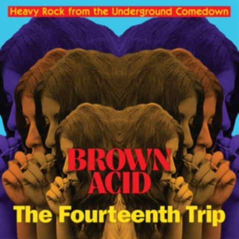 Various Artists - Brown Acid: The Fourteenth Trip [Vinyl LP]