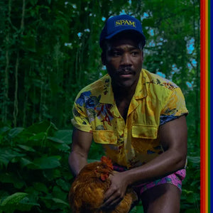 Childish Gambino - Bando Stone and the New World [Vinyl 2LP]
