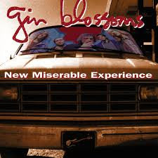 Gin Blossoms - New Miserable Experience [Vinyl LP]