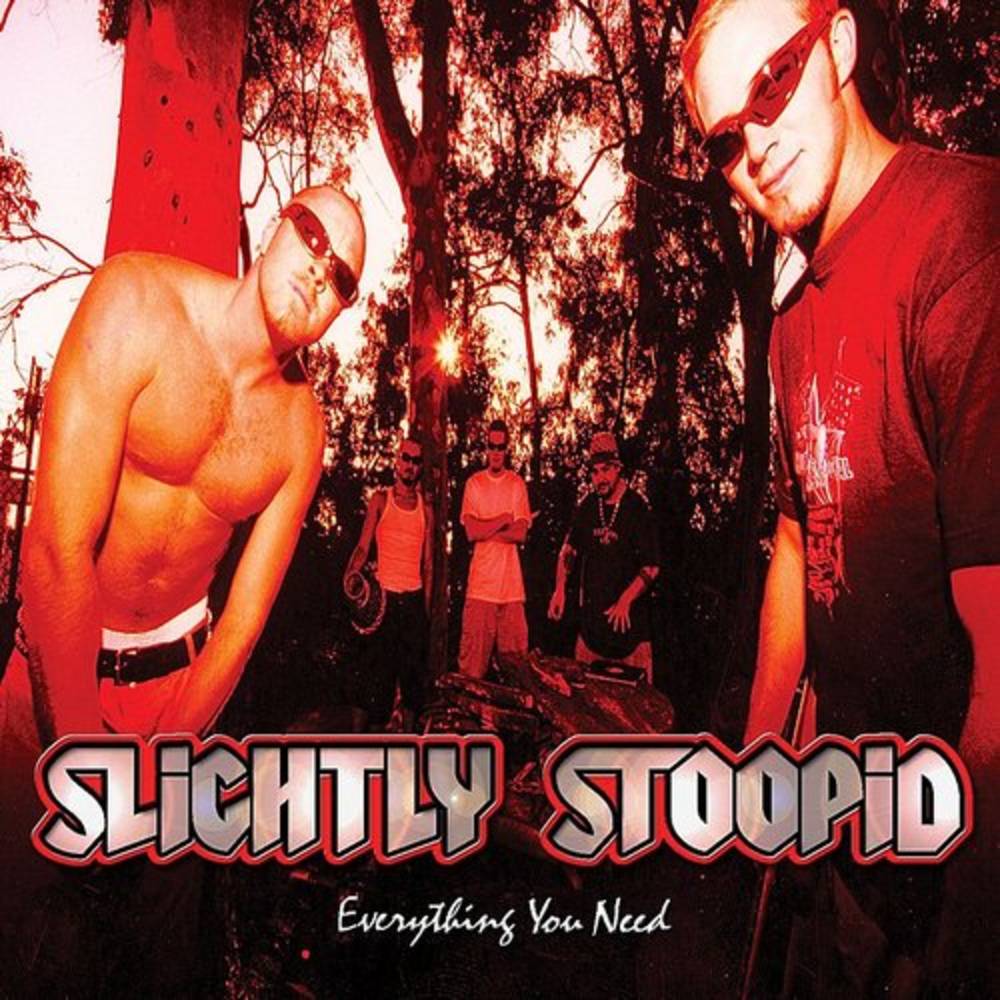 Slightly Stoopid - Everything You Need [Colored Vinyl LP]