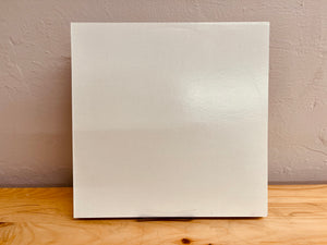 Blank White Record Sleeves [10-Pack]